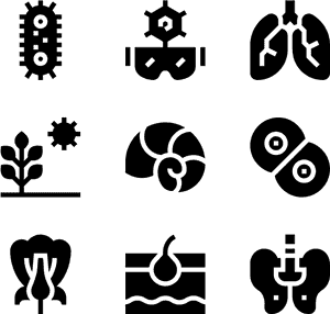 Investigation Icons, HD Png Download PNG image with transparent background