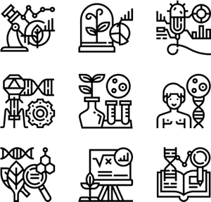 Design Line Icon Png, Transparent Png PNG image with transparent background