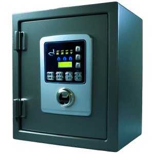 Biometric Safe PNG 05242024 PNG image with transparent background
