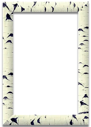 Birch Frame Black Center PNG Image