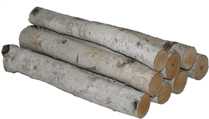 Birch Logs Isolated Background PNG image with transparent background