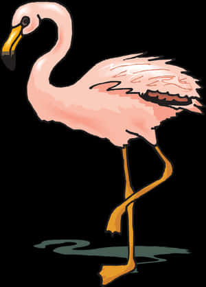 Bird, Flamingo, Shadow, Pink, Wings, Standing, Feathers - Warna Burung Flamingo, HD Png Download PNG image with transparent background