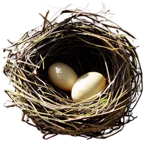 Bird Nest Illustration Png Nbb PNG Image