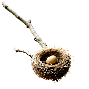 Bird Nest on Branch PNG kqu64 PNG