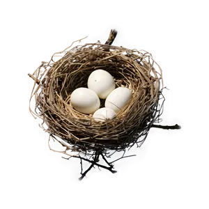 Bird Nest On Branch Png Ppn PNG Image