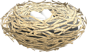 Download Zip Archive - Nest, HD Png Download PNG