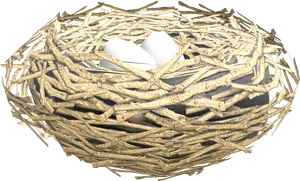 Bird Nest With Eggs3 D Render PNG Image