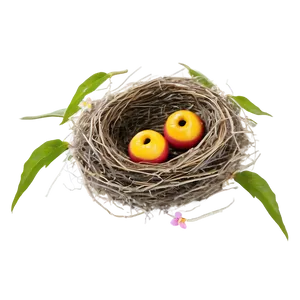 Bird Nest With Flowers Png Jgu73 PNG Image