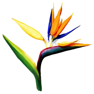 Bird Of Paradise Botanical Print Png Xqu97 PNG Image