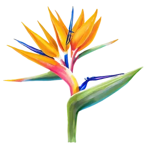 Bird Of Paradise Flower Png Lkm32 PNG Image