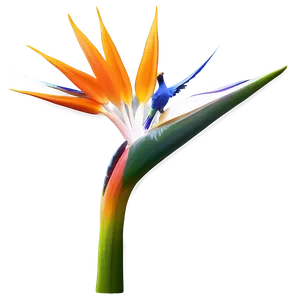 Bird Of Paradise Mural Png Uyn42 PNG Image