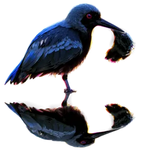 Bird Reflection Png Xgj53 PNG Image