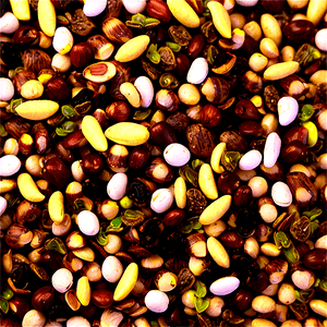 Bird Seed Mix PNG 06122024 PNG with transparent background