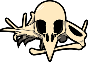 Bird Skull Illustration PNG image with transparent background