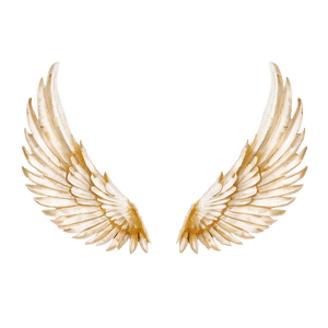 Bird Wings PNG 05032024 PNG image with transparent background