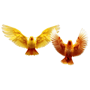 Bird Wings PNG nlc PNG image with transparent background