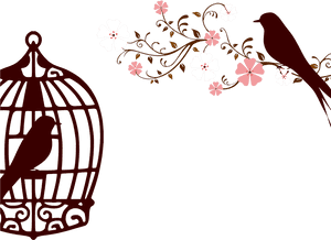 Love Birds In Cage Clipart - Bird Cage Coloring Page, HD Png Download PNG with transparent background