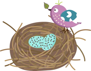 Birdand Eggsin Nest Illustration PNG Image