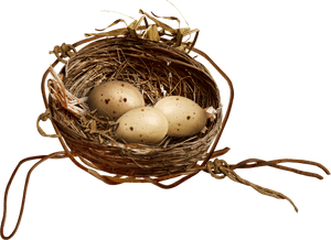 Clip Art Empty Bird Nest Clipart - Nest Clipart Birds Nest Transparent Background, HD Png Download PNG