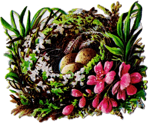 Free Printable Bird Nest Clip Art Royalty Antique Graphics - Christmas Birds Nest Painting, HD Png Download PNG with transparent background