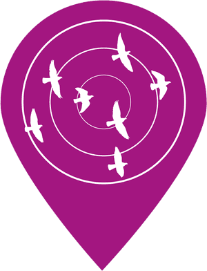 Birdsin Flight Navigation Icon PNG image with transparent background