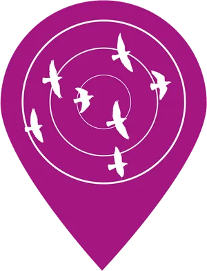 Birdsin Flight Navigation Icon PNG Image