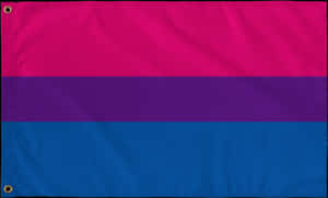 Bisexual Pride Flag Displayed PNG image with transparent background