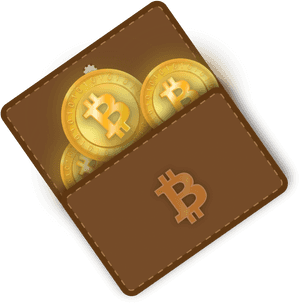 Bitcoin Wallet Illustration PNG image with transparent background