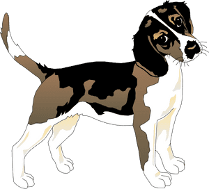 Black And White Beagle Svg Clip Arts - Datos Curiosos Del Perro, HD Png Download PNG image with transparent background
