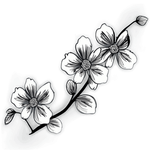 Black and White Floral Art PNG 05252024 PNG