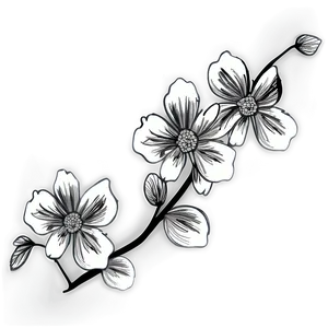 Black And White Floral Art Png 05252024 PNG Image