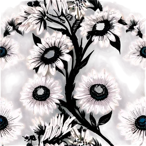 Black And White Floral Art Png 05252024 PNG Image