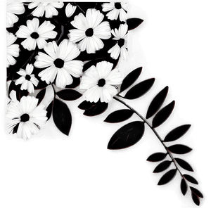Black and White Floral Art PNG 63 PNG
