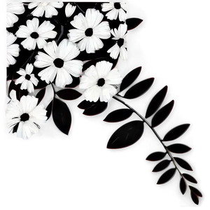 Black And White Floral Art Png 63 PNG Image