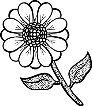 Black And White Floral Illustration PNG with transparent background