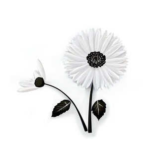 Black And White Flower Drawing Png Tng PNG Image