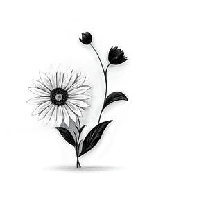 Black and White Flower Drawing PNG uno PNG