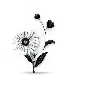 Black And White Flower Drawing Png Uno PNG Image