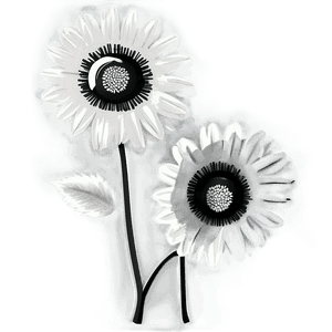 Black and White Flower Illustration PNG 05252024 PNG with transparent background