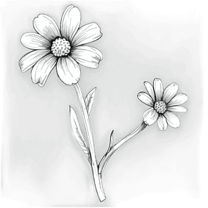 Black and White Flower Sketch PNG api53 PNG