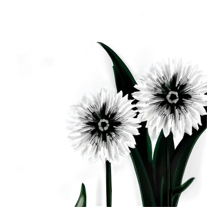 Black And White Flowers A PNG Image