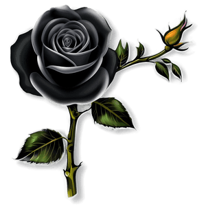 Black and White Rose Tattoo PNG isp PNG image with transparent background