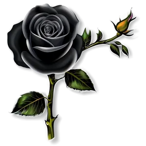 Black And White Rose Tattoo Png Isp PNG Image