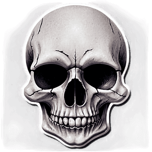Black and White Skull Sticker PNG btd PNG