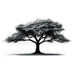 Black And White Tree In Urban Landscape Png Bot79 PNG Image