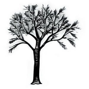 Black And White Tree Outline Png Vdf21 PNG Image