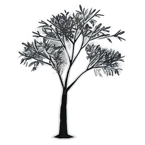 Black And White Tree With Sparse Leaves Png 06252024 PNG Image