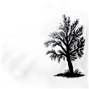 Black And White Tree With Sun Rays Png 06252024 PNG Image