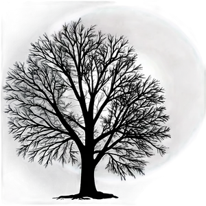 Black And White Tree With Sun Rays Png Uqh PNG Image