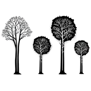 Black And White Trees Scenery Png Fjn81 PNG Image